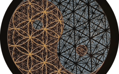 Flower of Polarity